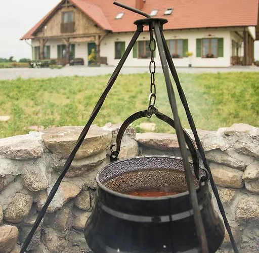 住宿加早餐酒店 Folkowy Dwor