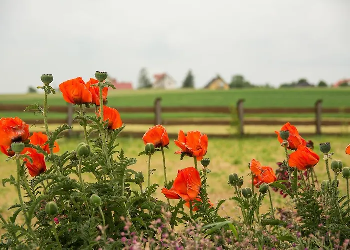 住宿加早餐酒店 Folkowy Dwor Somonino