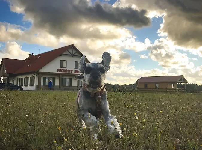 Folkowy Dwor 住宿加早餐酒店